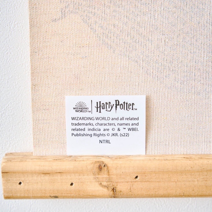 🔥絕版現貨 🇯🇵日本 Harry Potter × salut! 哈利波特聯名掛軸-劫盜地圖 掛布 掛畫-細節圖3