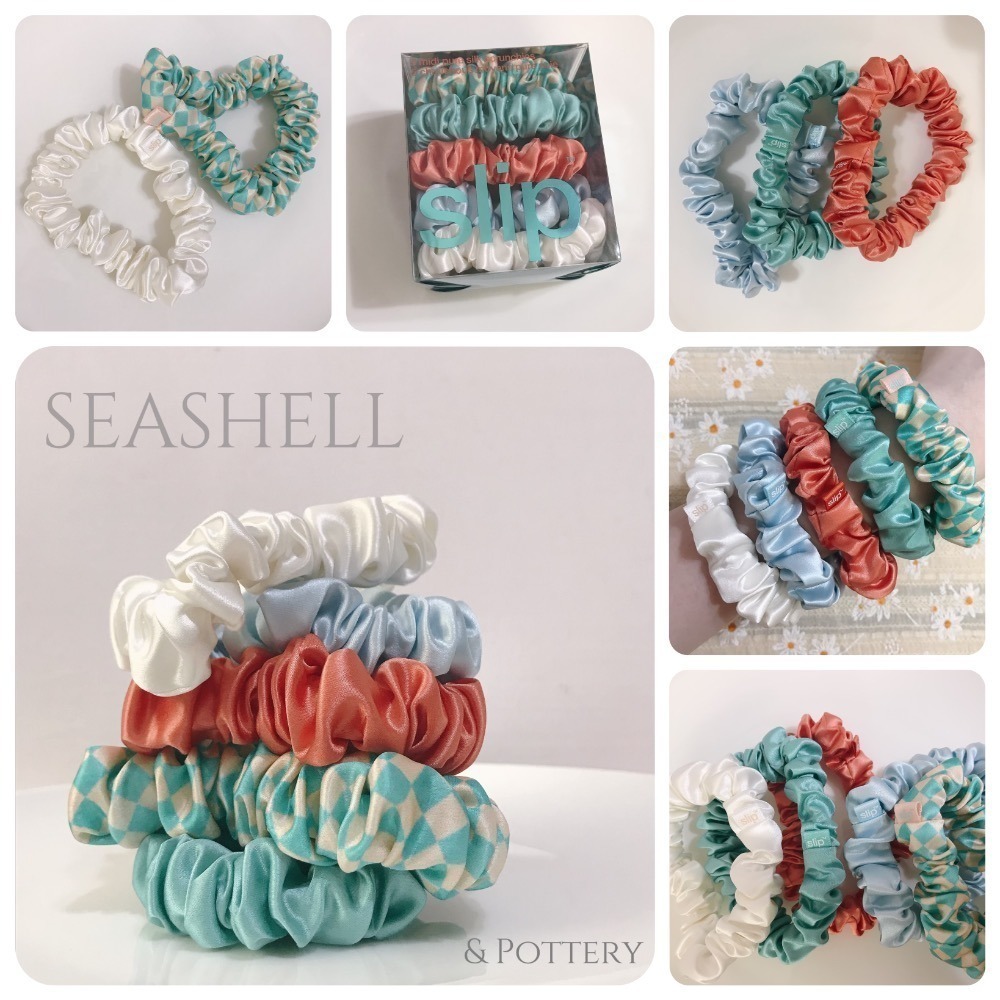 中款 5入 SEASHELL