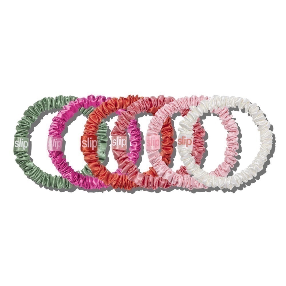 6入 DAISY 春日雛菊