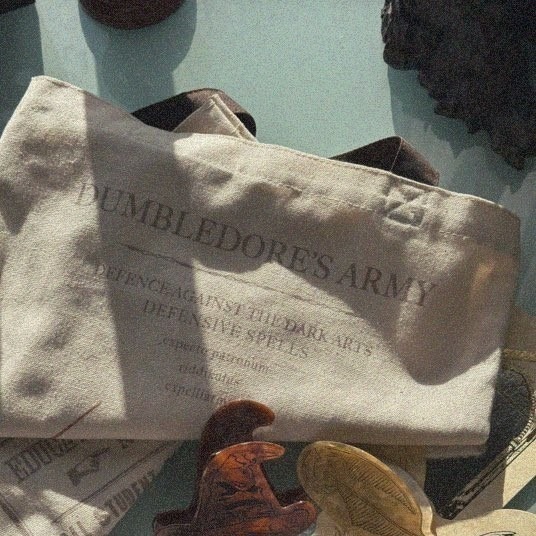 Harry Potter × my twilight 哈利波特帆布綿托特包 Harry Potter周邊-細節圖6