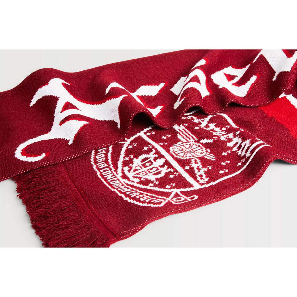 Arsenal Bolt Scarf 兵工廠復古隊徽圍巾 阿森納 槍手 英超 兵工廠足球俱樂部-細節圖3