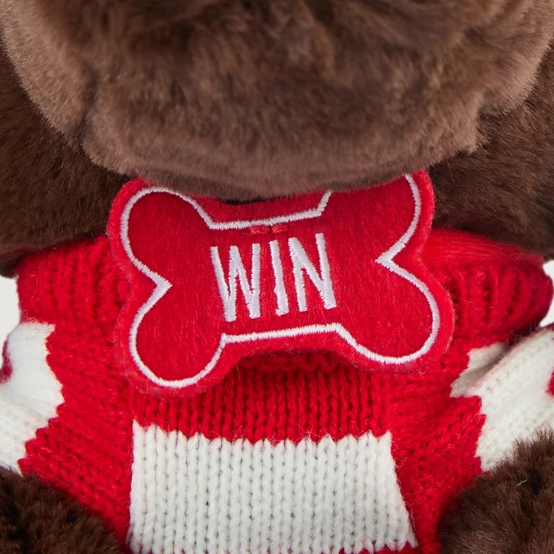 🇬🇧英國 兵工廠隊寵Win狗狗絨毛玩偶｜Arsenal 兵工廠足球俱樂部 槍手 阿森納 英超 足球 娃娃-細節圖9