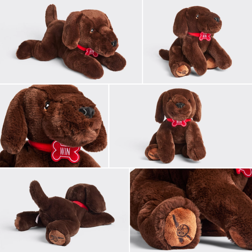 常態款 Win