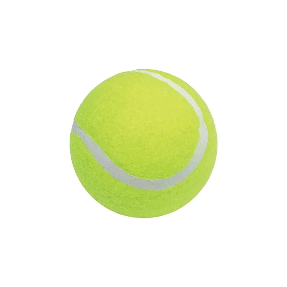 網球 一般網球 硬式網球 特波士 練習球 練習用球 訓練用 壁球 4311 成功 SUCCESS 運動 體育-細節圖2