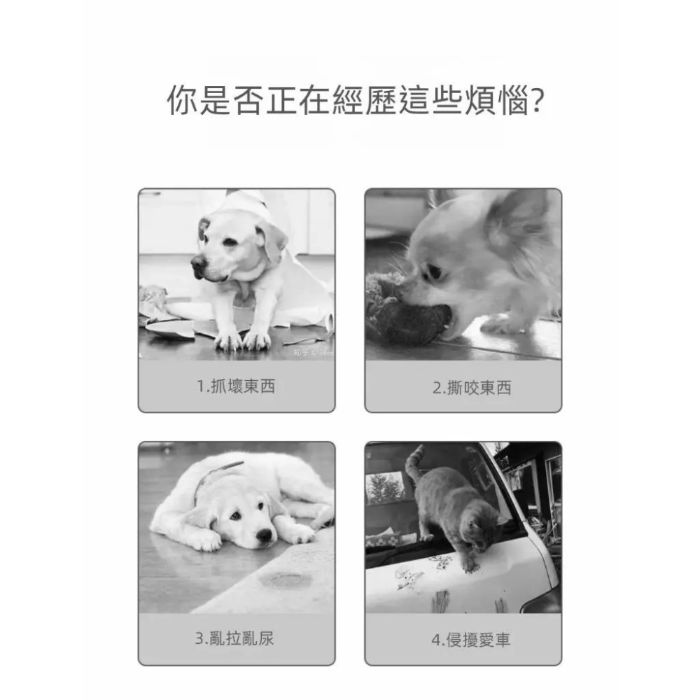 寵物禁區噴霧噴劑 趕貓狗噴霧 防止貓咪亂撒尿禁區噴劑 趕貓劑 寵物忌避劑-細節圖7
