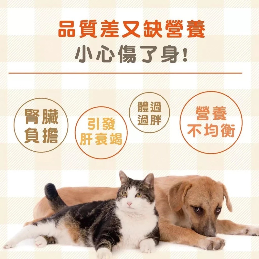 蓓百優 厚切牛板腱  50g 貓犬適用 手作 原塊肉乾 寵物零食 狗狗零食 貓咪零食-細節圖5