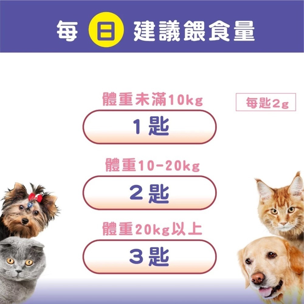 蓓百優 免疫力 保健粉 70g 平衡權威 狗 貓 專用 葡聚多醣×褐藻醣膠×乳鐵蛋白 寵物保健 狗狗免疫 貓咪免疫-細節圖2