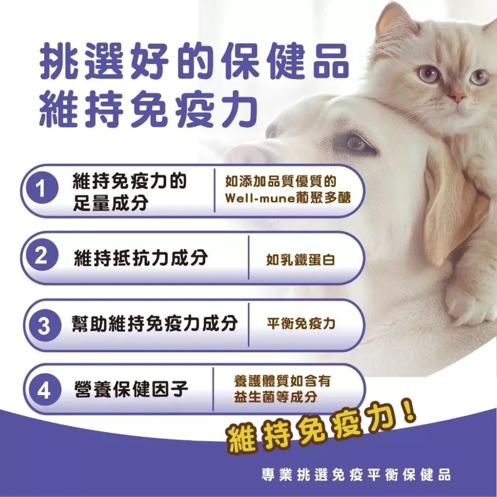 蓓百優 免疫力 保健粉 70g 平衡權威 狗 貓 專用 葡聚多醣×褐藻醣膠×乳鐵蛋白 寵物保健 狗狗免疫 貓咪免疫-細節圖4