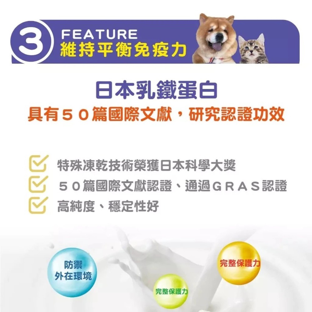 蓓百優 免疫力 保健粉 70g 平衡權威 狗 貓 專用 葡聚多醣×褐藻醣膠×乳鐵蛋白 寵物保健 狗狗免疫 貓咪免疫-細節圖6