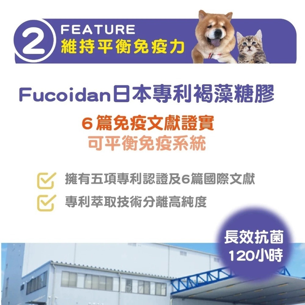 蓓百優 免疫力 保健粉 70g 平衡權威 狗 貓 專用 葡聚多醣×褐藻醣膠×乳鐵蛋白 寵物保健 狗狗免疫 貓咪免疫-細節圖7