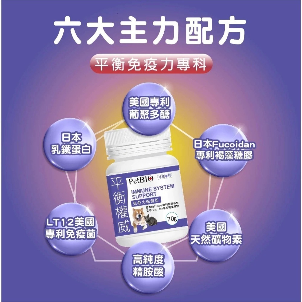蓓百優 免疫力 保健粉 70g 平衡權威 狗 貓 專用 葡聚多醣×褐藻醣膠×乳鐵蛋白 寵物保健 狗狗免疫 貓咪免疫-細節圖9