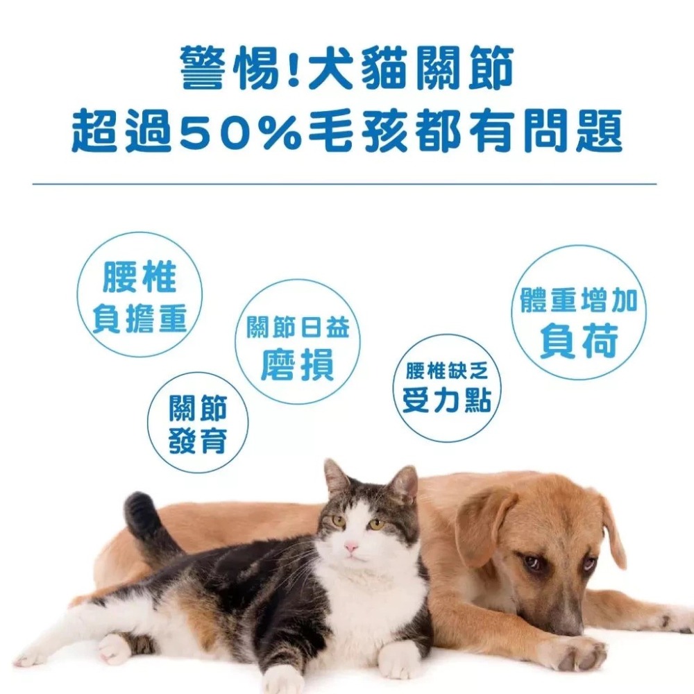 蓓百優 關節 靈活保健粉∣ 70g 關鍵權威∣狗 貓 專用∣UCII 專利非變性二型膠原×葡萄糖胺×鯊魚軟骨∣寵物保健-細節圖2