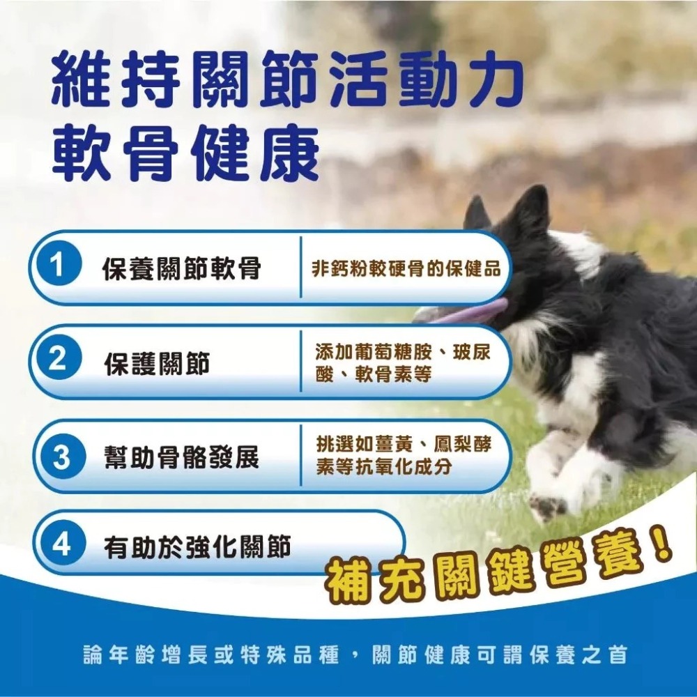 蓓百優 關節 靈活保健粉∣ 70g 關鍵權威∣狗 貓 專用∣UCII 專利非變性二型膠原×葡萄糖胺×鯊魚軟骨∣寵物保健-細節圖3
