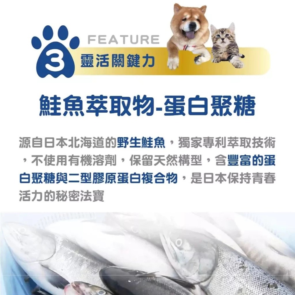 蓓百優 關節 靈活保健粉∣ 70g 關鍵權威∣狗 貓 專用∣UCII 專利非變性二型膠原×葡萄糖胺×鯊魚軟骨∣寵物保健-細節圖6