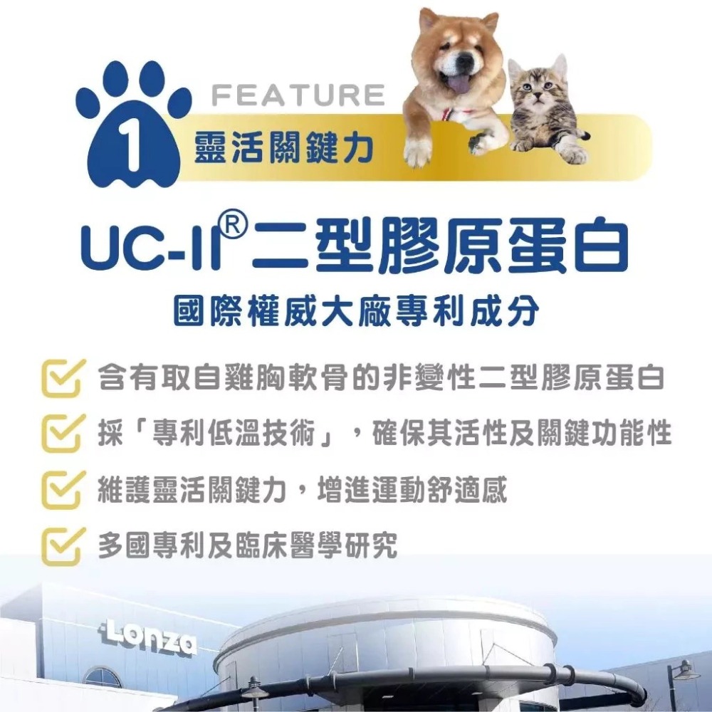 蓓百優 關節 靈活保健粉∣ 70g 關鍵權威∣狗 貓 專用∣UCII 專利非變性二型膠原×葡萄糖胺×鯊魚軟骨∣寵物保健-細節圖8