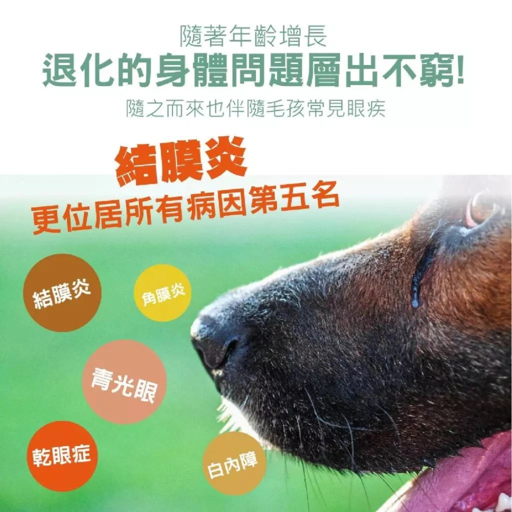 蓓百優 八合一游離型葉黃素粉  70g  護眼權威 狗 貓 專用 專利葉黃素×蝦紅素×日本黑豆×護眼複方 寵物保健-細節圖6