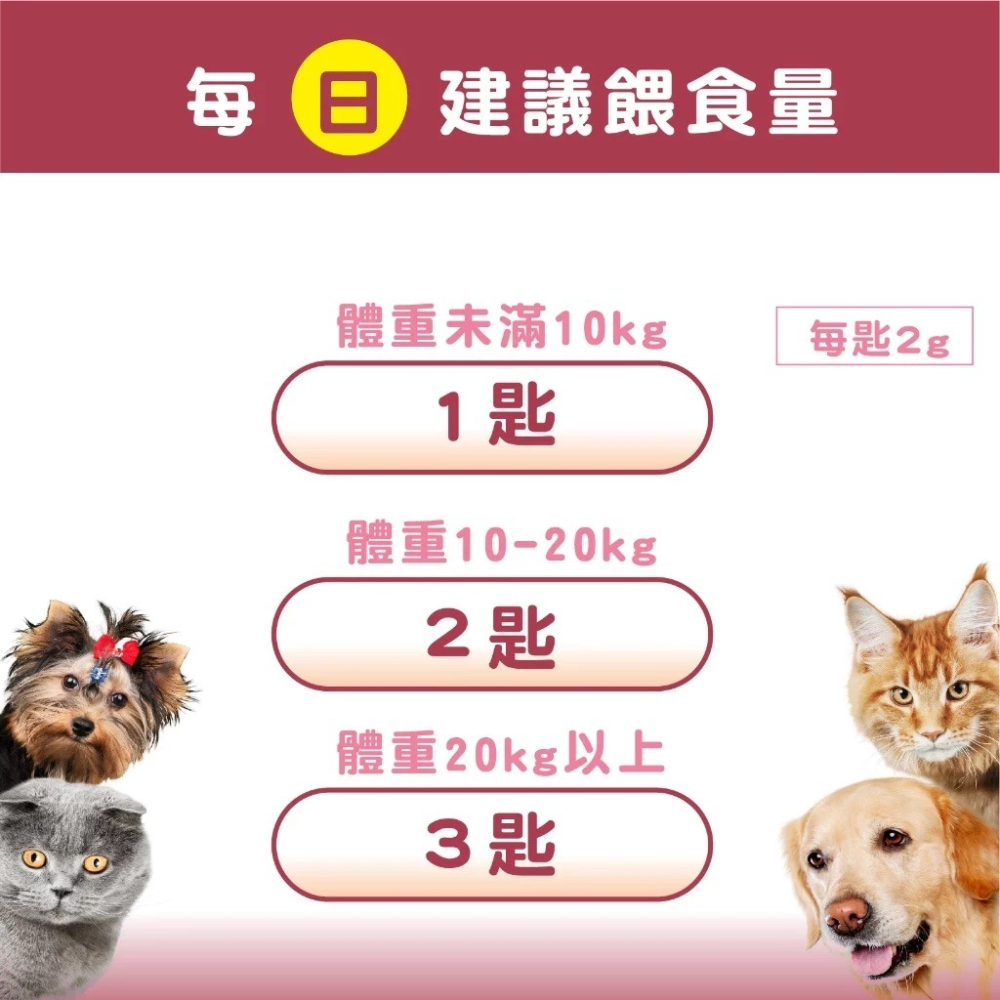 蓓百優 心臟保健護心粉 55g 心臟權威 狗 貓 專用 專利Q10輔酶×專利納豆激酶×專利沙棘果 寵物保健 狗狗心臟-細節圖4