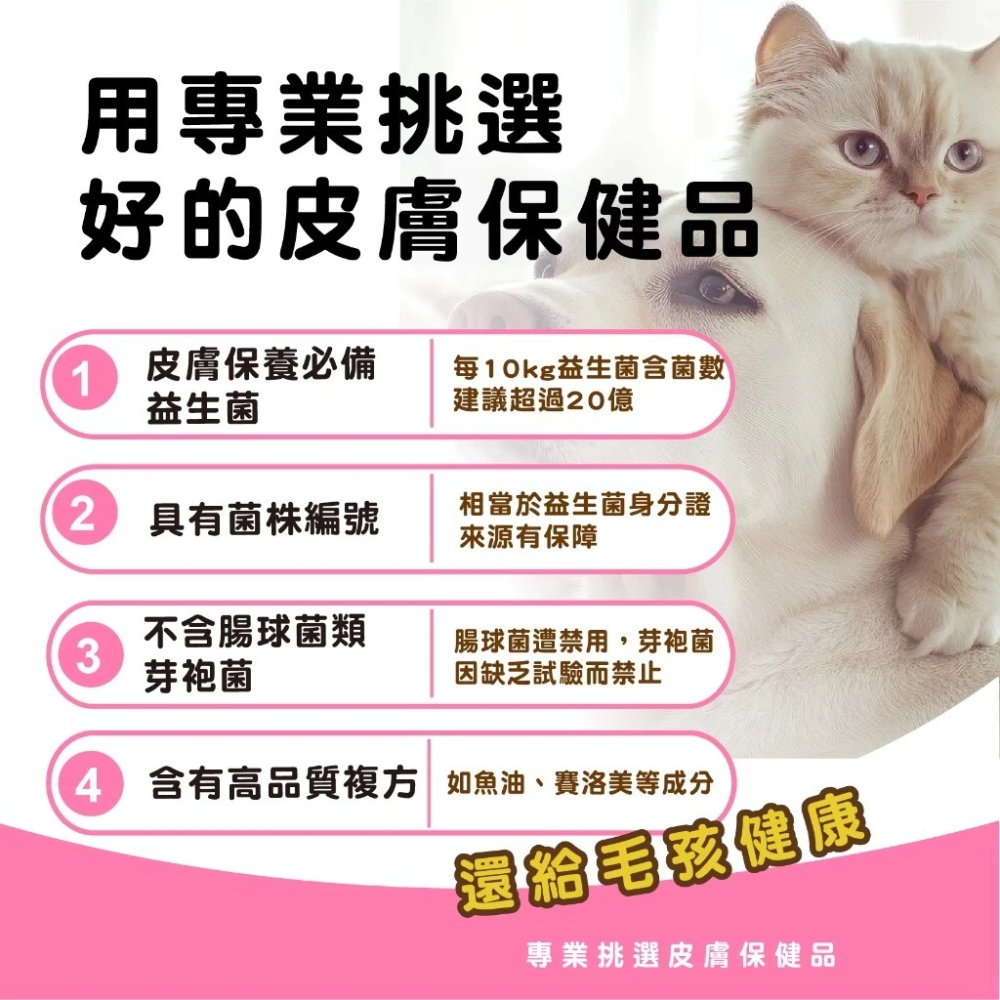 蓓百優 益生菌 皮膚 專利粉 70g 皮膚權威 狗 貓 專用 專利CBT益生菌×魚油×玄米萃取 神經醯胺 寵物保健-細節圖2