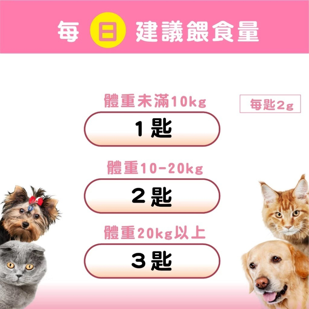 蓓百優 益生菌 皮膚 專利粉 70g 皮膚權威 狗 貓 專用 專利CBT益生菌×魚油×玄米萃取 神經醯胺 寵物保健-細節圖3