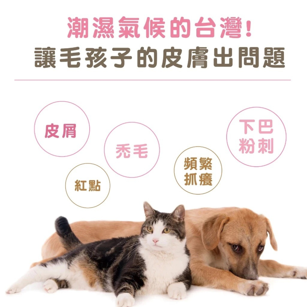 蓓百優 益生菌 皮膚 專利粉 70g 皮膚權威 狗 貓 專用 專利CBT益生菌×魚油×玄米萃取 神經醯胺 寵物保健-細節圖4