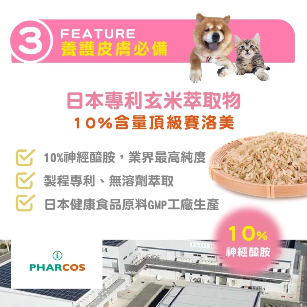 蓓百優 益生菌 皮膚 專利粉 70g 皮膚權威 狗 貓 專用 專利CBT益生菌×魚油×玄米萃取 神經醯胺 寵物保健-細節圖6