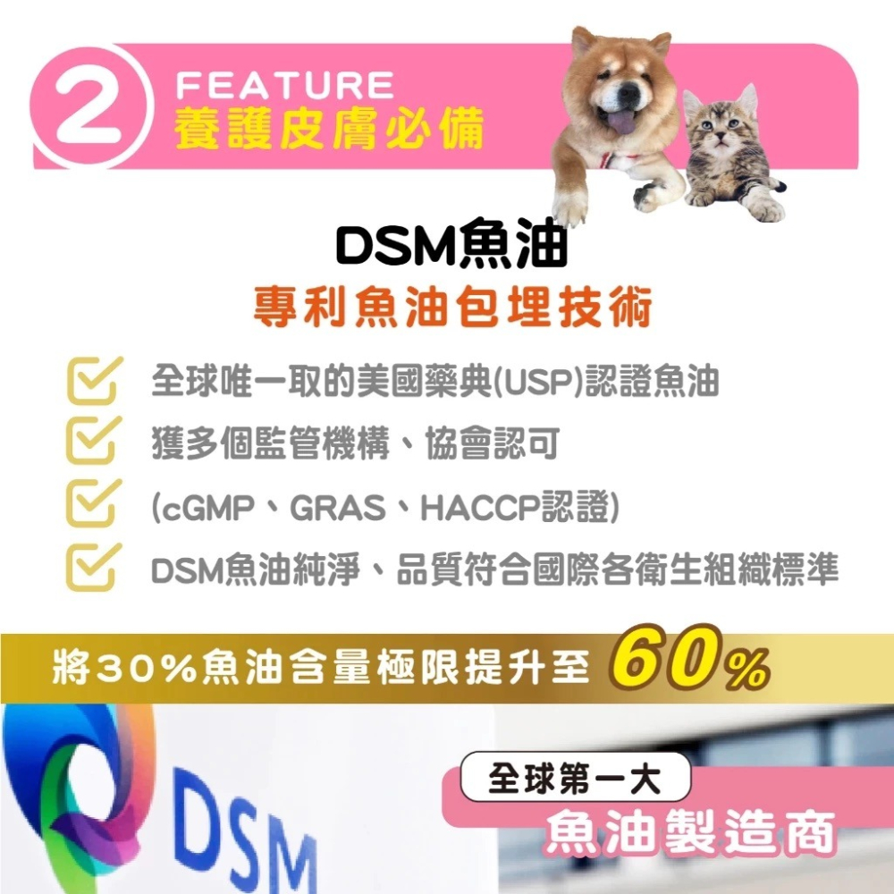 蓓百優 益生菌 皮膚 專利粉 70g 皮膚權威 狗 貓 專用 專利CBT益生菌×魚油×玄米萃取 神經醯胺 寵物保健-細節圖7