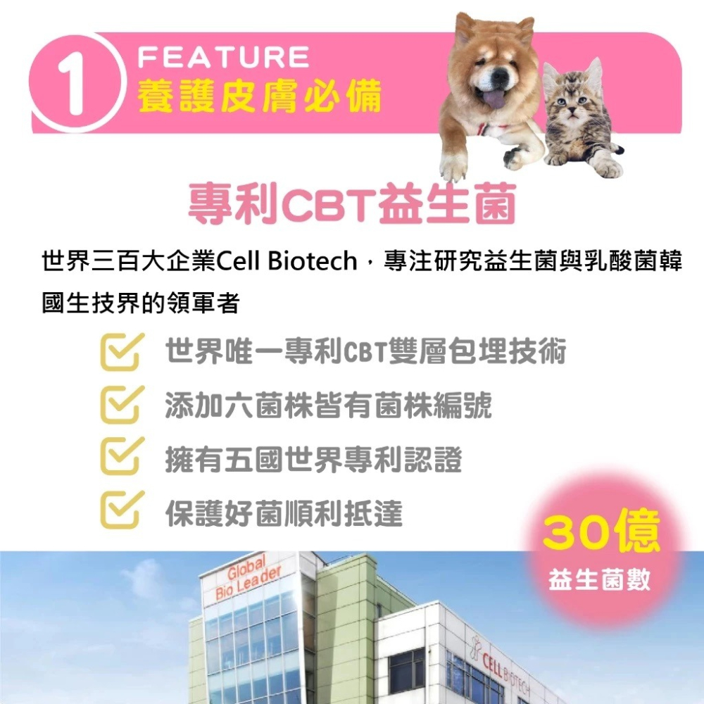 蓓百優 益生菌 皮膚 專利粉 70g 皮膚權威 狗 貓 專用 專利CBT益生菌×魚油×玄米萃取 神經醯胺 寵物保健-細節圖8