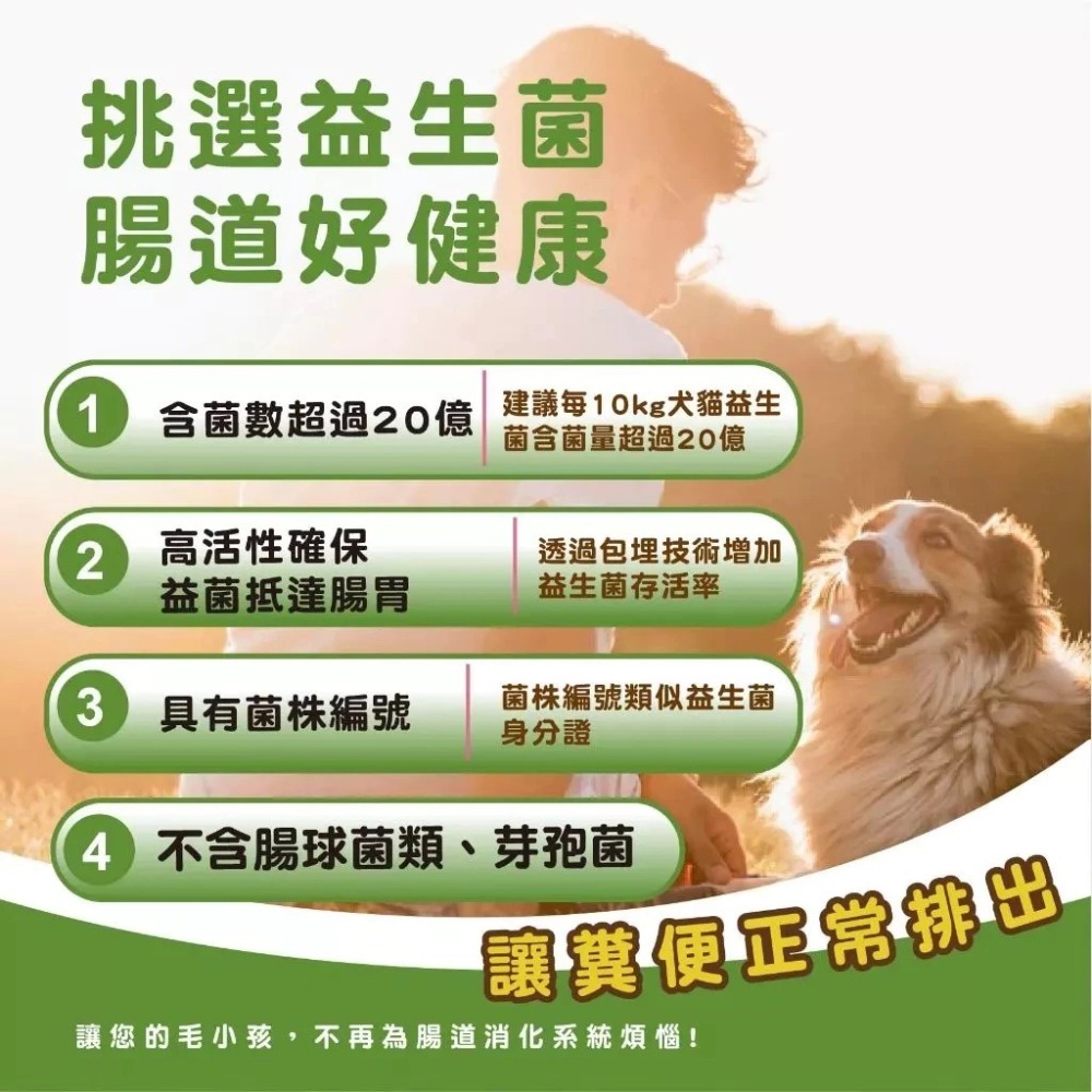 蓓百優 腸胃 益生菌 酵素 70g 腸胃權威 狗 貓 專用 專利CBT益生菌×美國綜合酵素×比利時果寡糖 寵物保健-細節圖2