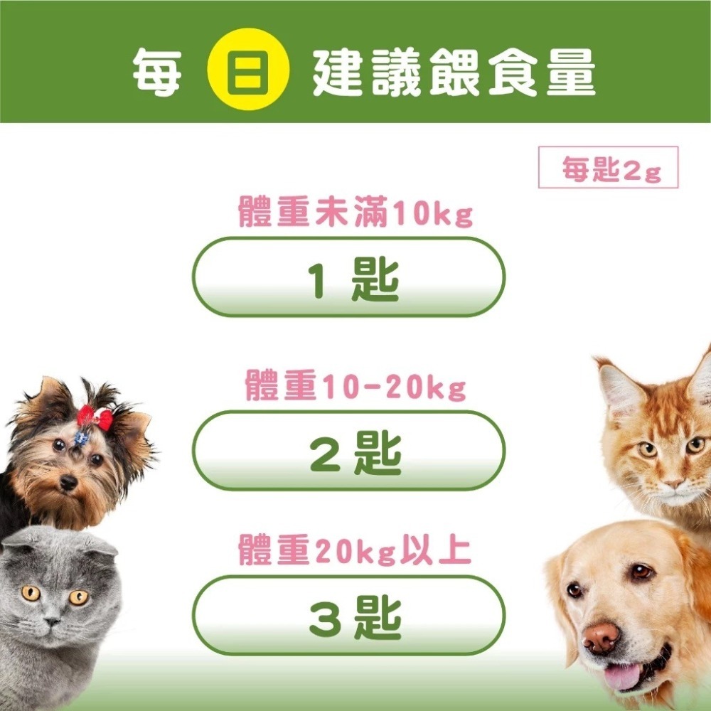 蓓百優 腸胃 益生菌 酵素 70g 腸胃權威 狗 貓 專用 專利CBT益生菌×美國綜合酵素×比利時果寡糖 寵物保健-細節圖3