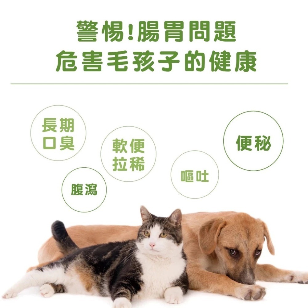 蓓百優 腸胃 益生菌 酵素 70g 腸胃權威 狗 貓 專用 專利CBT益生菌×美國綜合酵素×比利時果寡糖 寵物保健-細節圖9