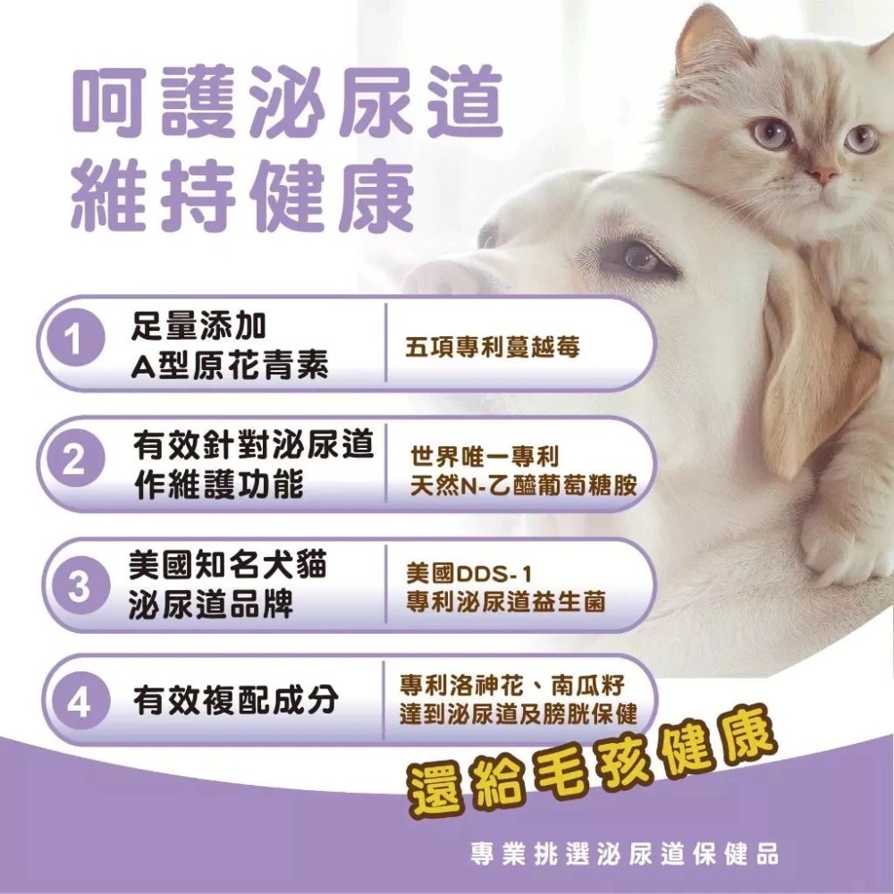 蓓百優 專利蔓越莓 70g 泌尿權威 狗 貓 專用 蔓越莓×N-乙醯葡萄糖胺×泌尿道益生菌×洛神花 寵物保健-細節圖2