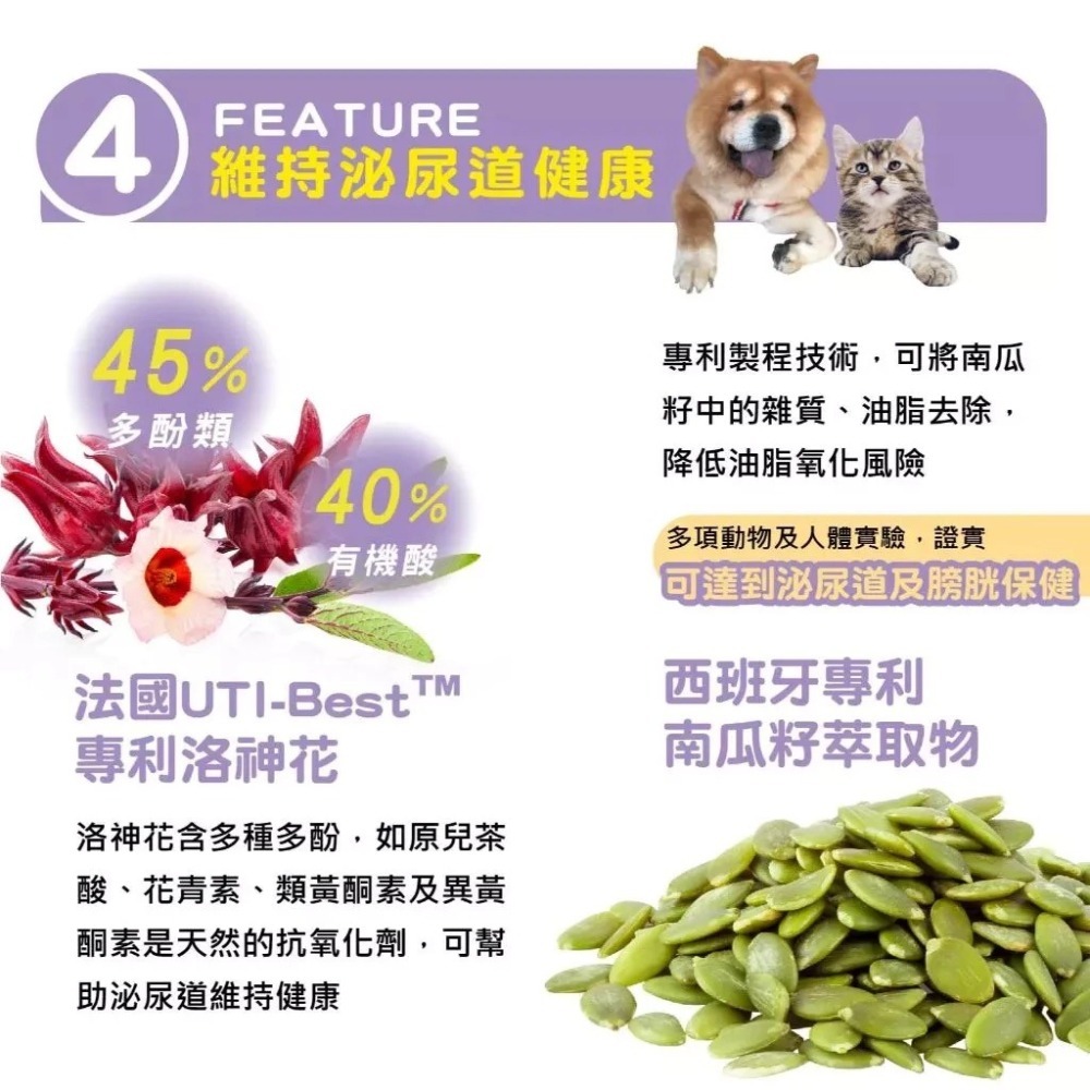 蓓百優 專利蔓越莓 70g 泌尿權威 狗 貓 專用 蔓越莓×N-乙醯葡萄糖胺×泌尿道益生菌×洛神花 寵物保健-細節圖5