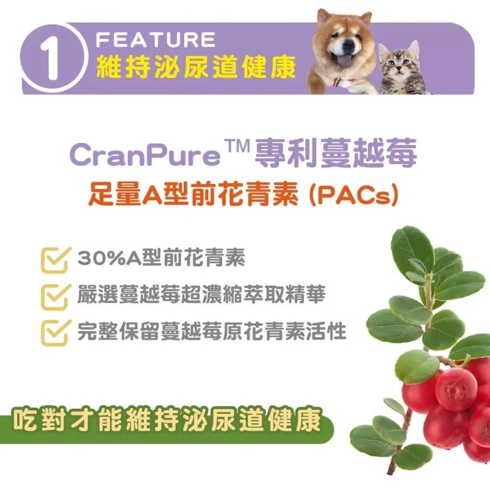 蓓百優 專利蔓越莓 70g 泌尿權威 狗 貓 專用 蔓越莓×N-乙醯葡萄糖胺×泌尿道益生菌×洛神花 寵物保健-細節圖9