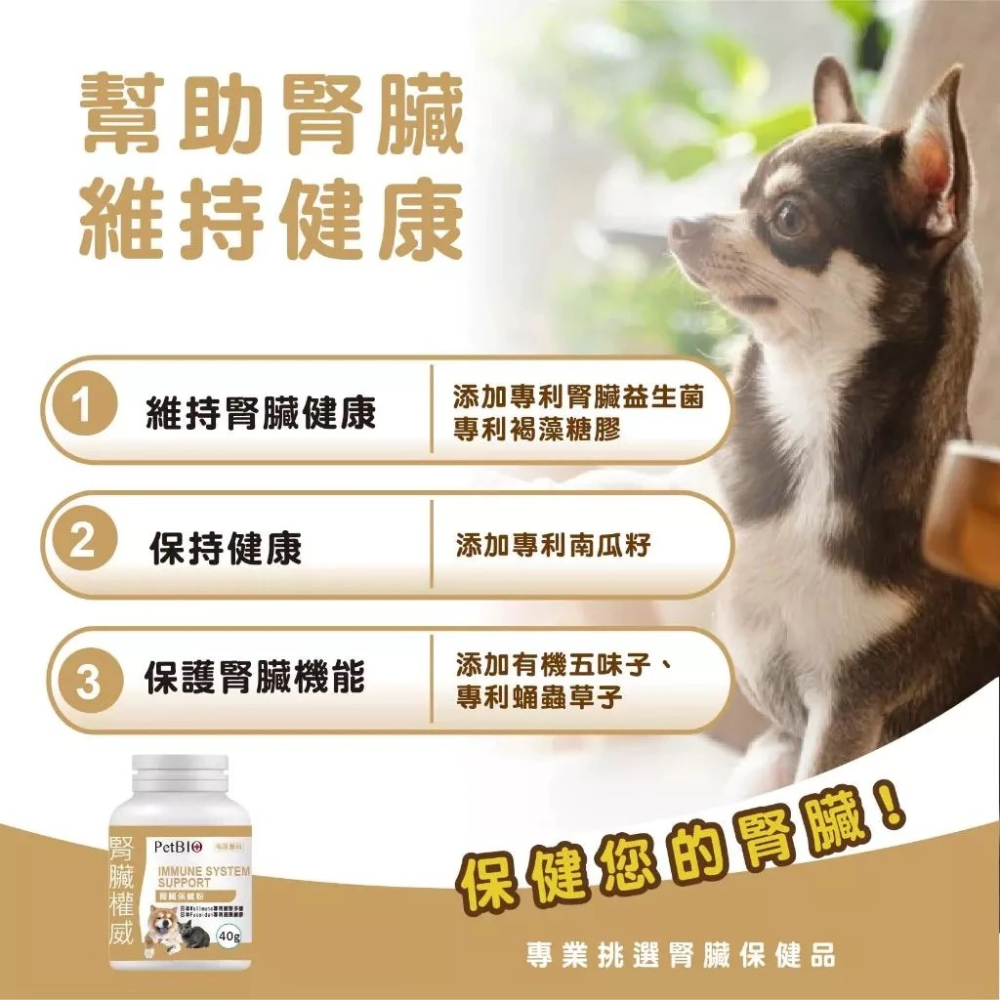 蓓百優 腎臟 保健粉 40g 腎臟權威 狗 貓 專用 專利褐藻醣膠×專利腎臟益生菌×南瓜籽 寵物保健 狗狗腎臟-細節圖2