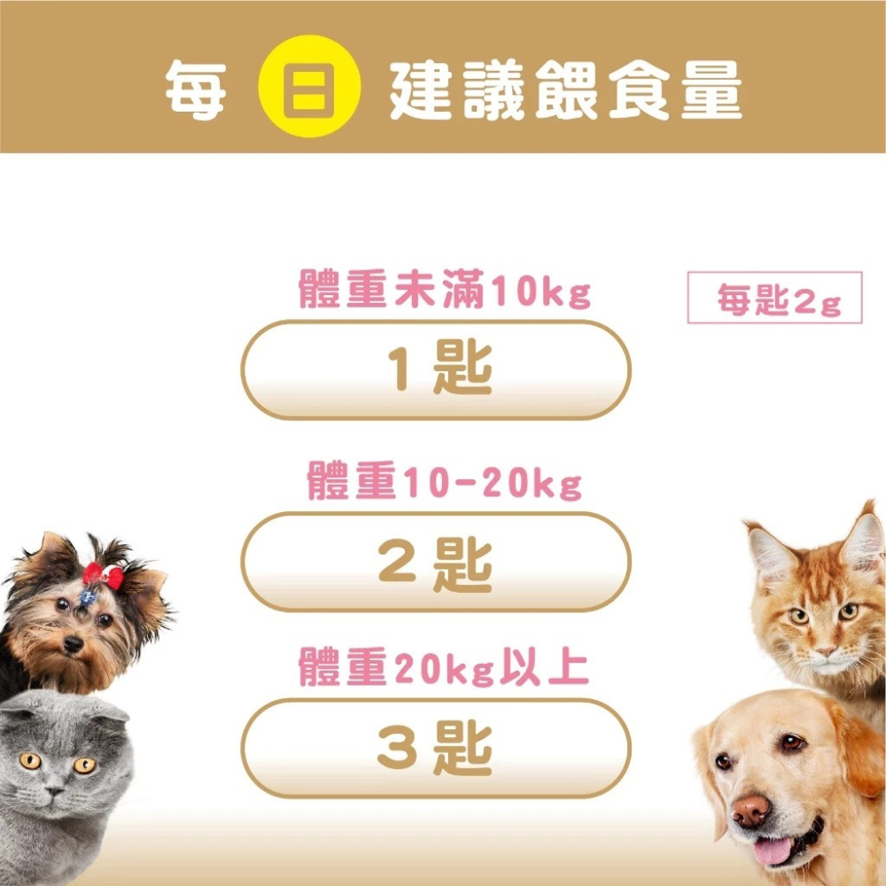 蓓百優 腎臟 保健粉 40g 腎臟權威 狗 貓 專用 專利褐藻醣膠×專利腎臟益生菌×南瓜籽 寵物保健 狗狗腎臟-細節圖3