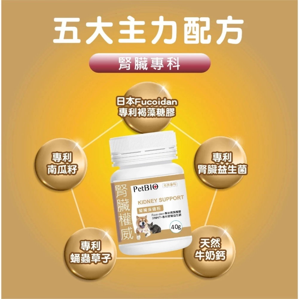 蓓百優 腎臟 保健粉 40g 腎臟權威 狗 貓 專用 專利褐藻醣膠×專利腎臟益生菌×南瓜籽 寵物保健 狗狗腎臟-細節圖9