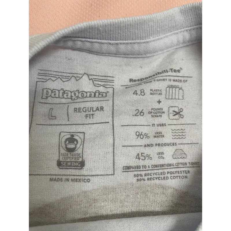 Patagonia 全新短袖 Brooklyn bridge (size L)-細節圖4