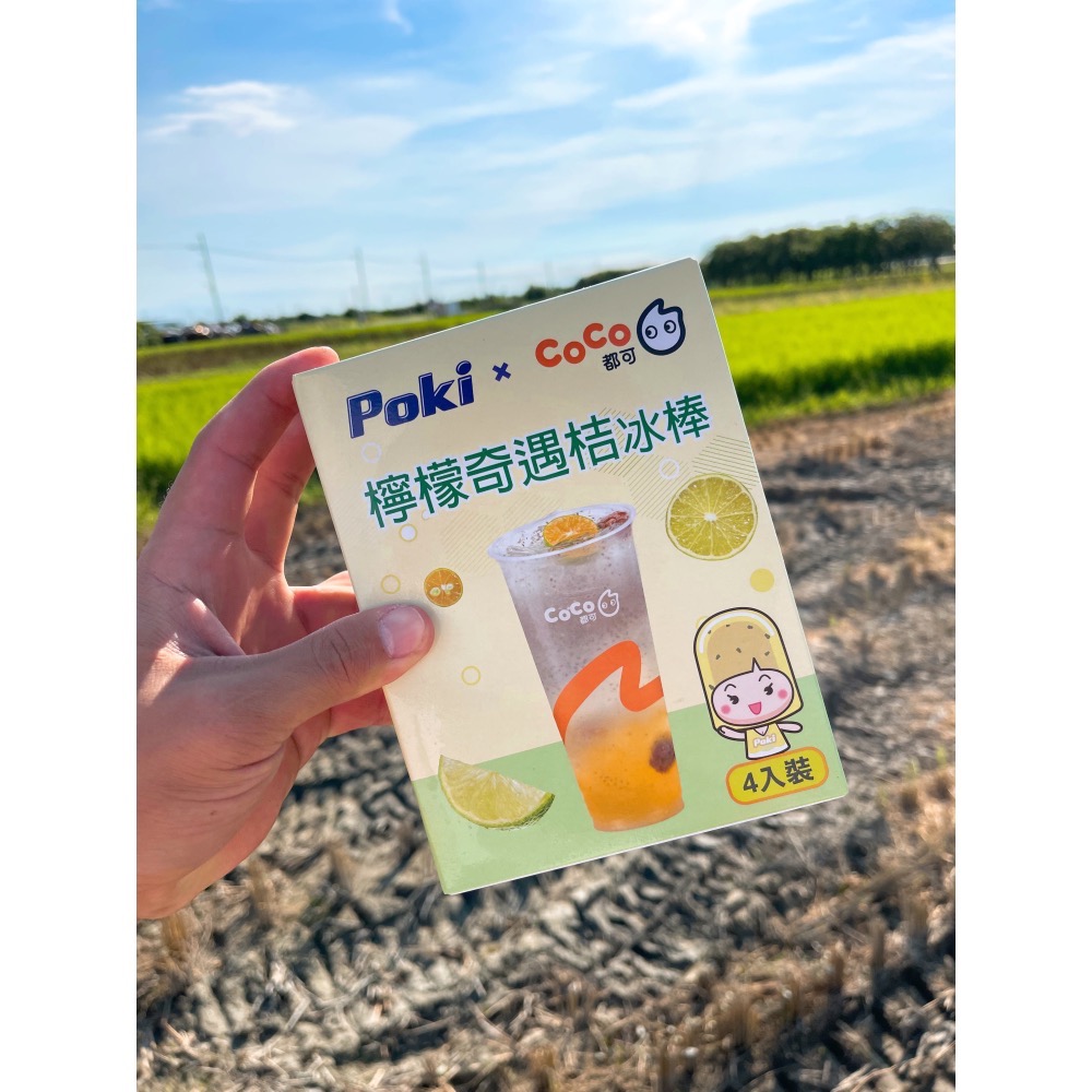 百吉聯名冰棒 乳酸多柚＆檸檬奇遇 +1=4支。552↑免運-細節圖2