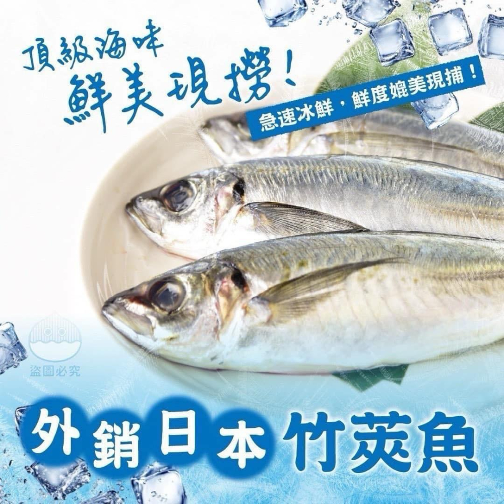 台灣 竹莢魚蝴蝶切 +1=4尾。552↑免運-細節圖3