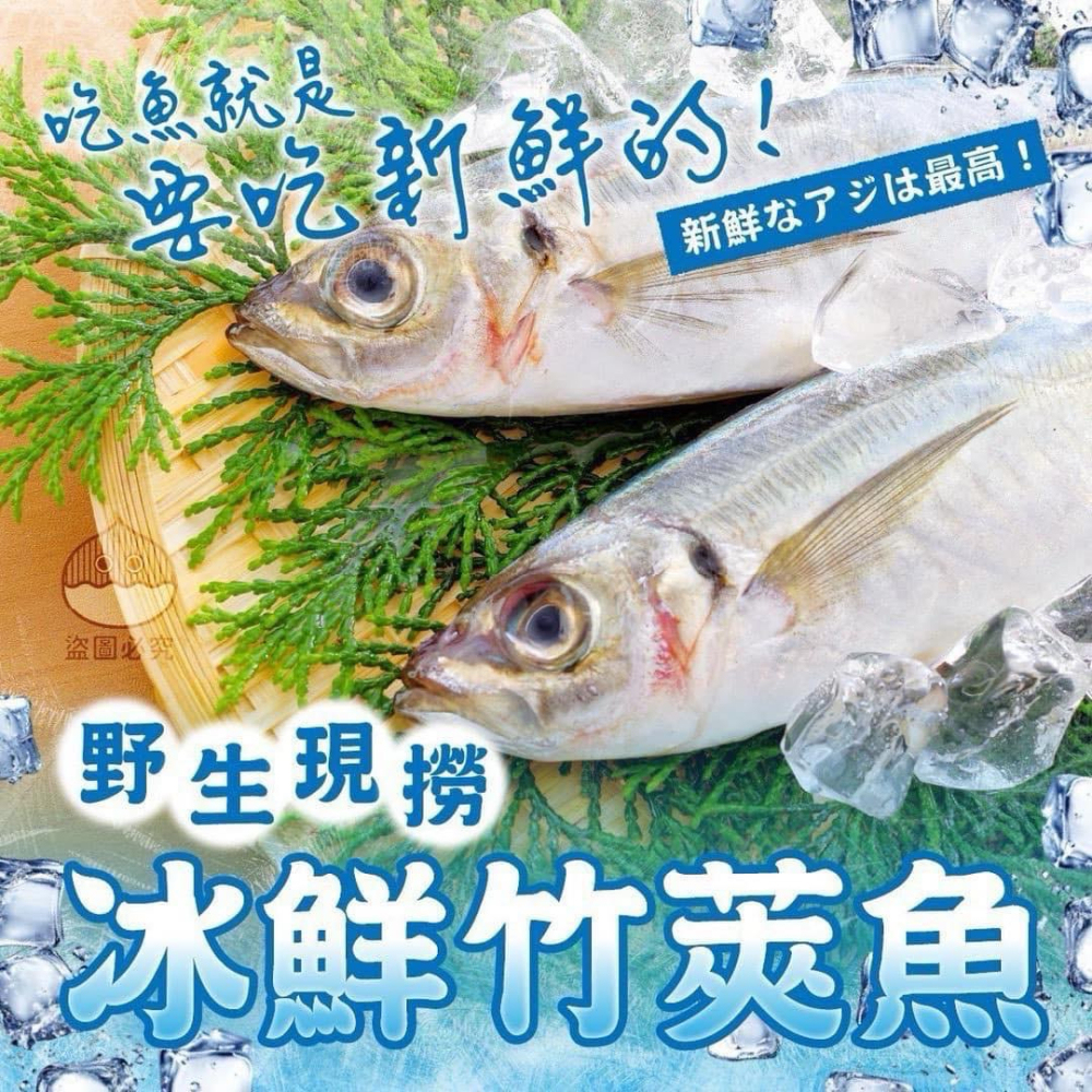 台灣 竹莢魚蝴蝶切 +1=4尾。552↑免運-細節圖4