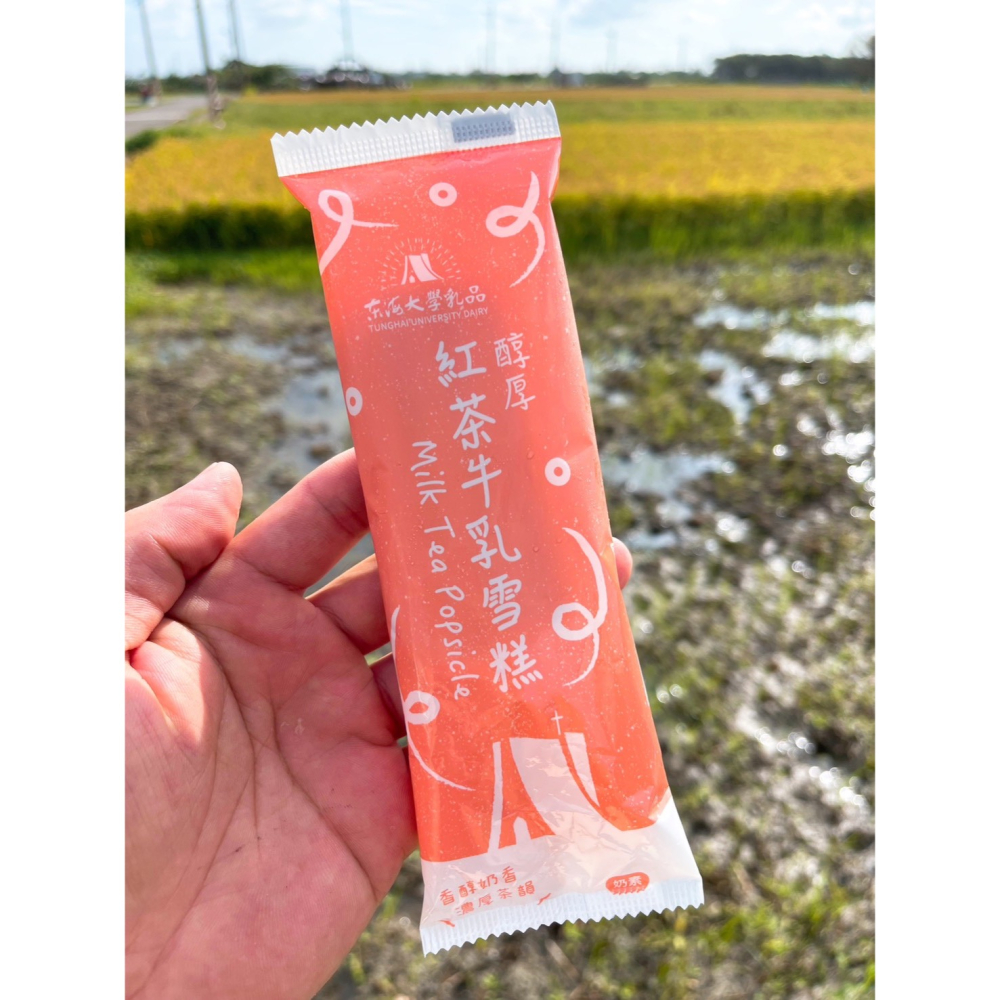 東海大學 紅茶牛乳雪糕 +1=10支。552↑免運-細節圖2