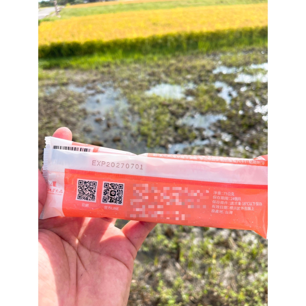 東海大學 紅茶牛乳雪糕 +1=10支。552↑免運-細節圖3