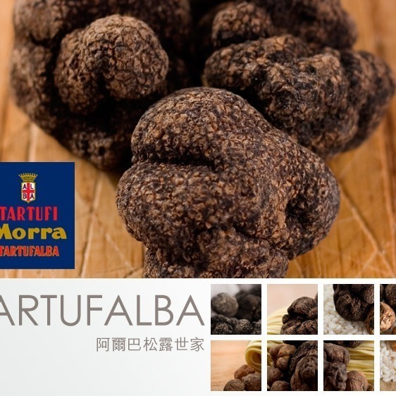 【老街烘焙坊】義大利 TARTUFALBA 阿爾巴 松露世家 白松露鹽 100g / 松露鹽 / 阿爾巴松露鹽-細節圖3