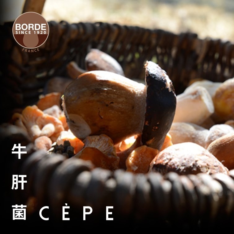 【老街烘焙坊】法國 Borde 特級 牛肝菌菇 / DRIED CEPES EXTRA / Borde牛肝菌菇-細節圖3