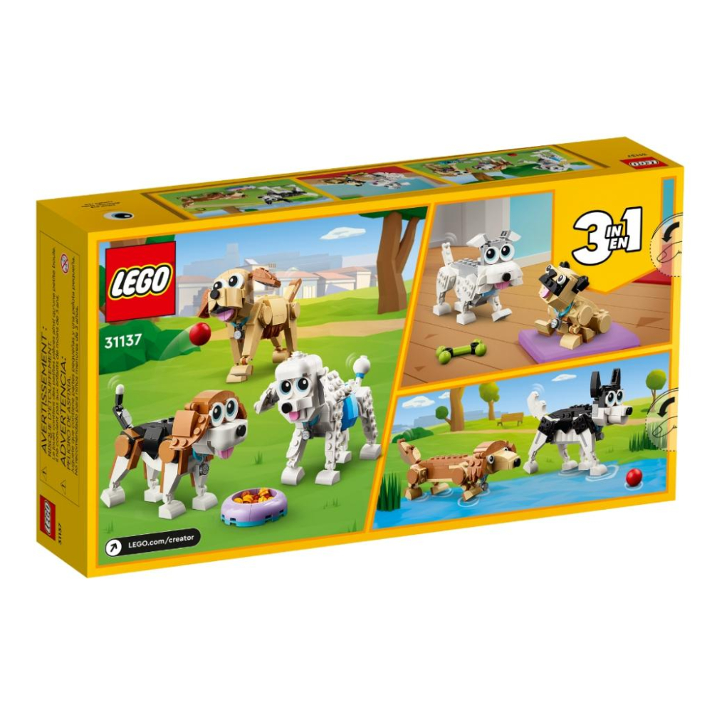 【磚星球】樂高 LEGO 31137 創意三合一系列 可愛狗狗 Adorable Dogs-細節圖6