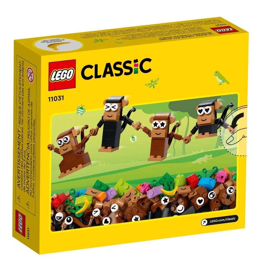 【磚星球】樂高 LEGO 11031 經典系列 創意猴子趣味套裝 Creative Monkey Fun-細節圖4