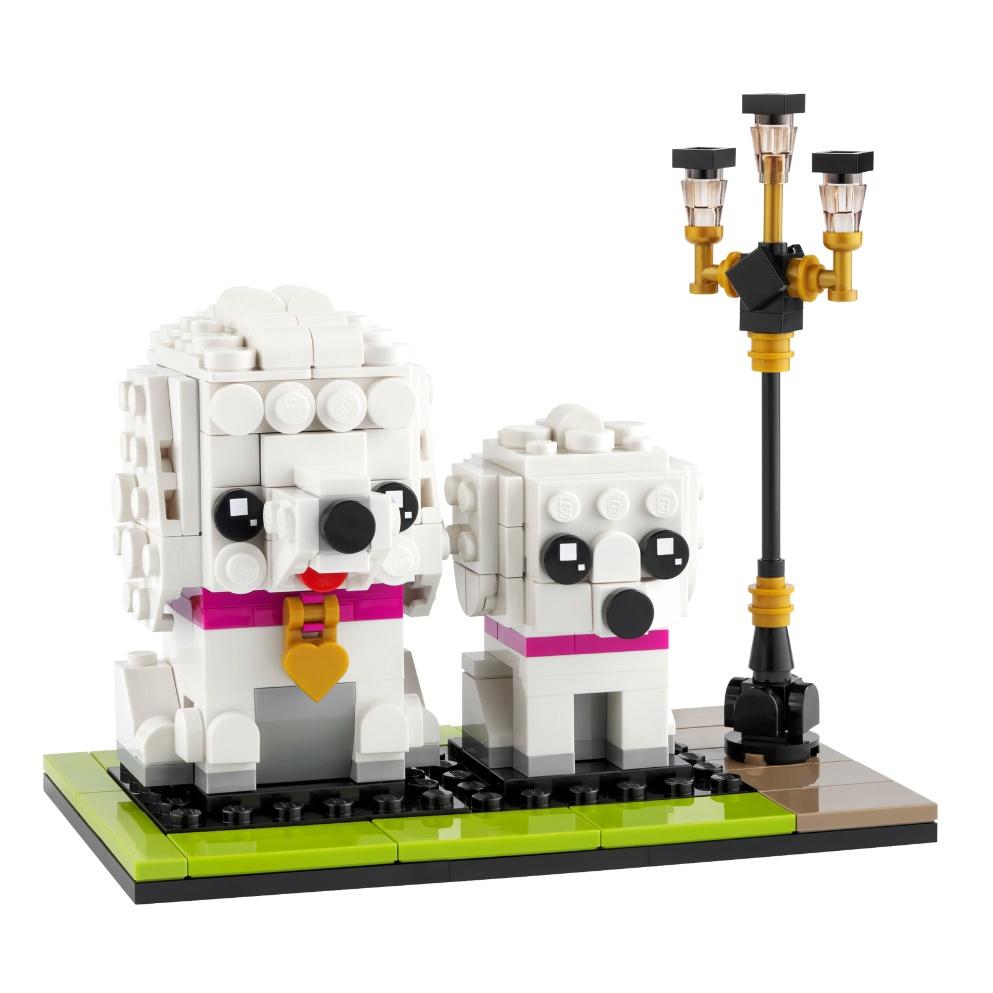 【磚星球】樂高 LEGO 40546 大頭系列 貴賓狗 Poodle-細節圖3