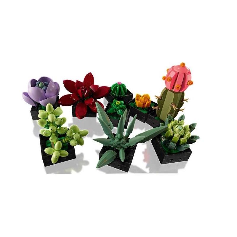 【磚星球】樂高 LEGO 10309 創意系列 多肉植物 Succulents-細節圖3