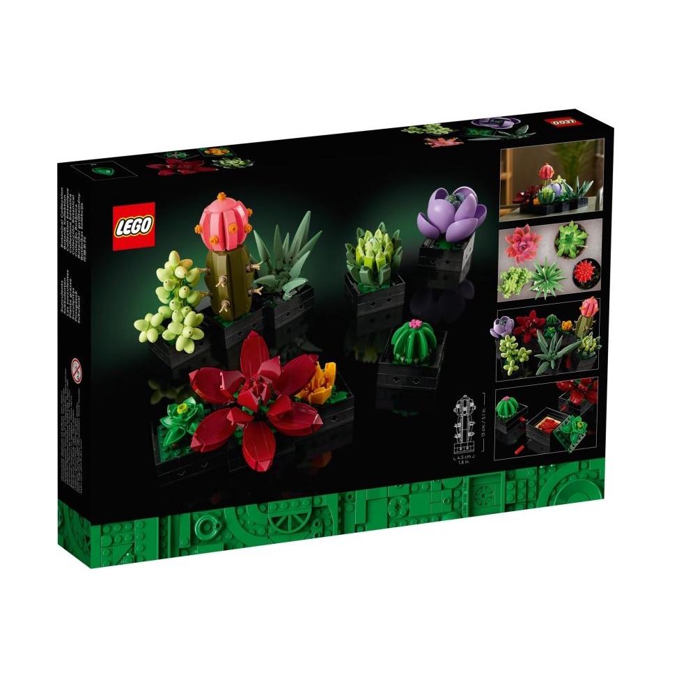 【磚星球】樂高 LEGO 10309 創意系列 多肉植物 Succulents-細節圖4