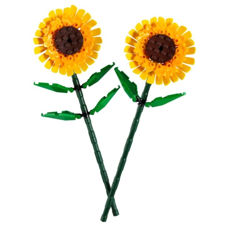 【磚星球】樂高 LEGO 40524 特殊 太陽花 Sunflowers-細節圖3